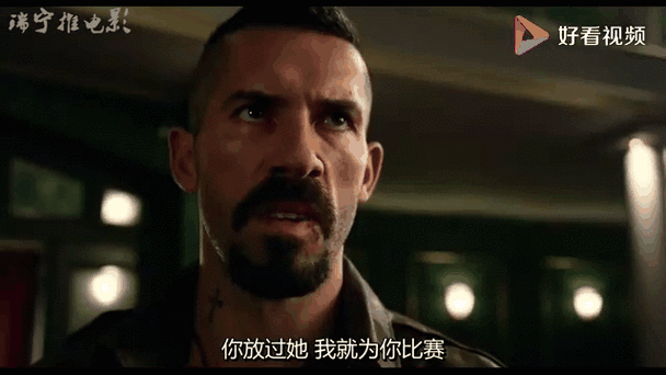 尤里博伊卡的粉丝名