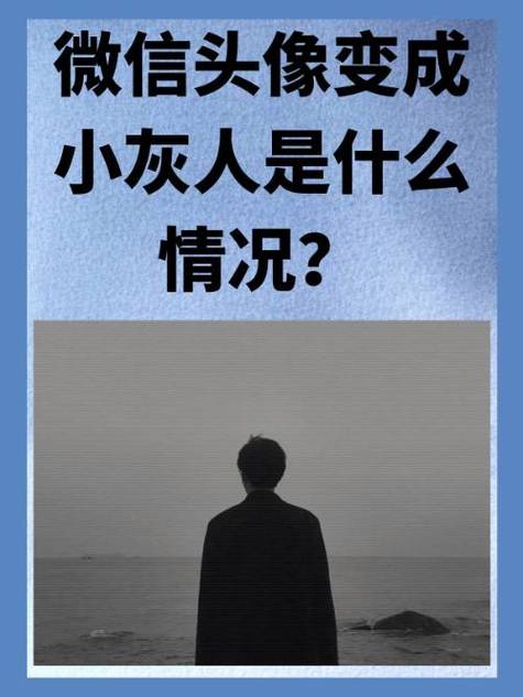 对方头像是小灰人是删除了吗