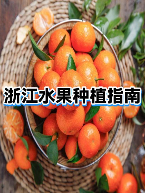 浙江种什么水果好挣钱截图2