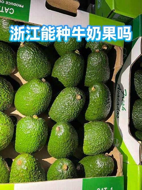 浙江种什么水果好挣钱截图3