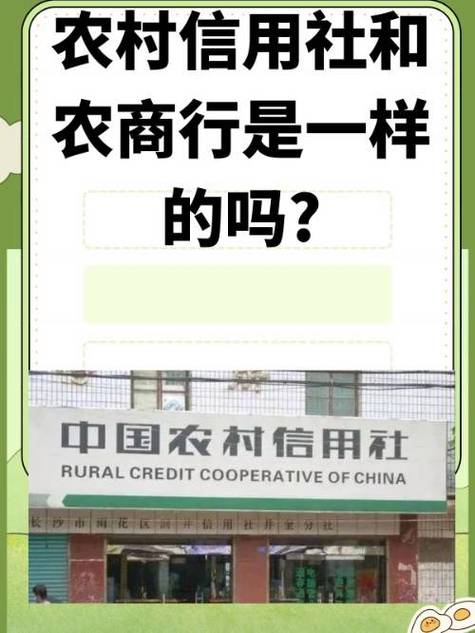农村信用社解除限额方法