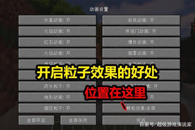 我的世界无粒子指令
