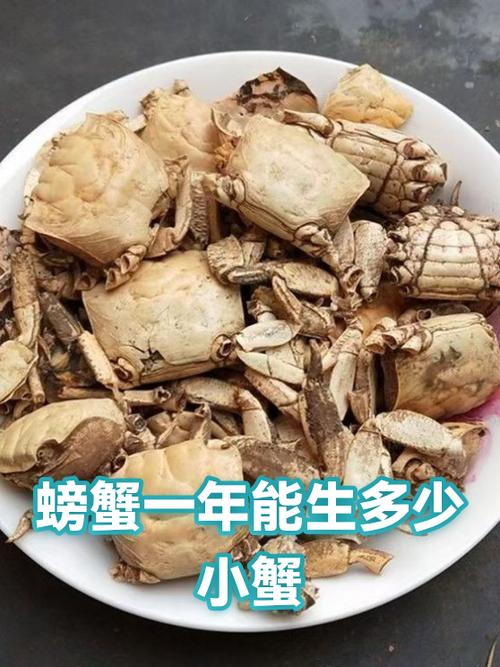 螃蟹是产卵还是直接生小螃蟹