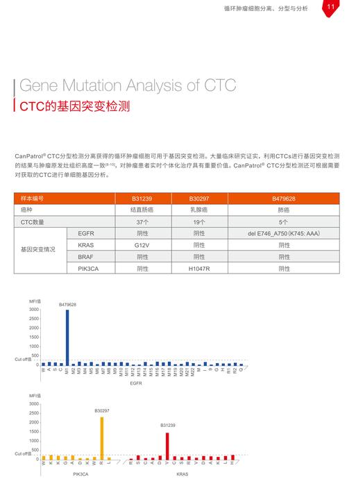 ctc检查什么项目 ctc检查什么项目