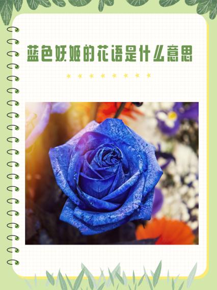 蓝色的意义和寓意截图2