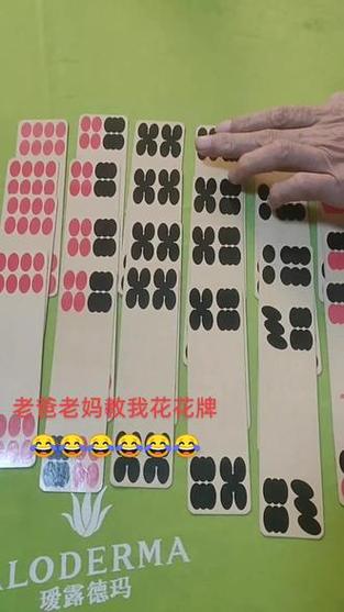 花花牌48张的详细介绍
