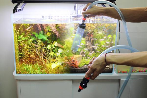 rame鱼缸如何换水