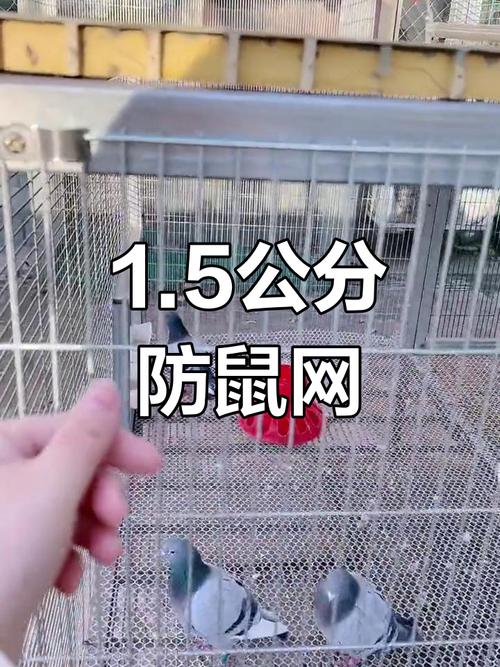安装田鼠网 安装田鼠网