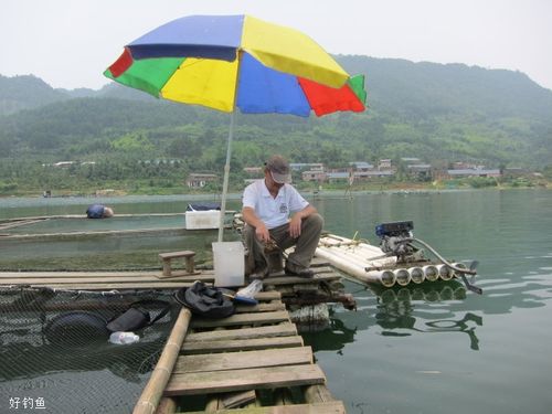 开局绑定水库钓鱼系统