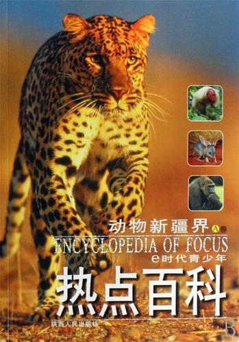 正版e书截图3