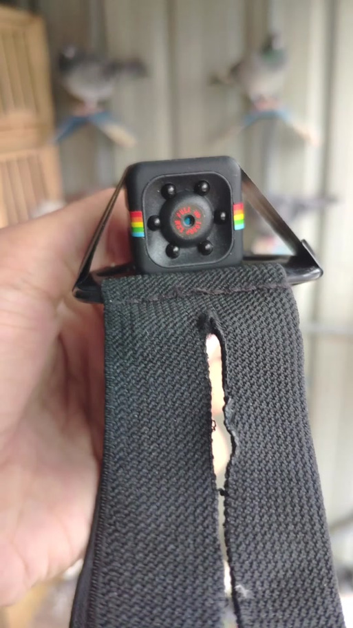 可以放在身上的摄像头叫什么