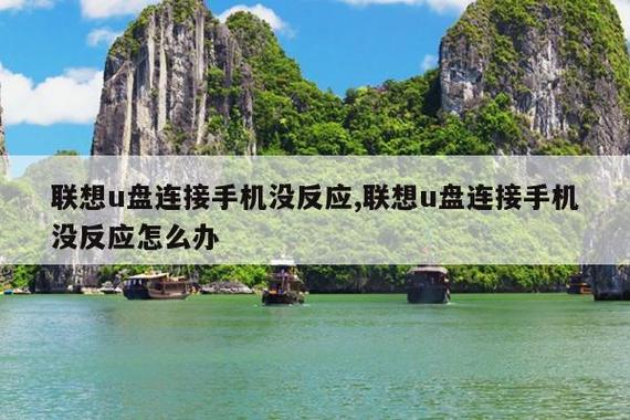 u盘转接头插手机上没反应
