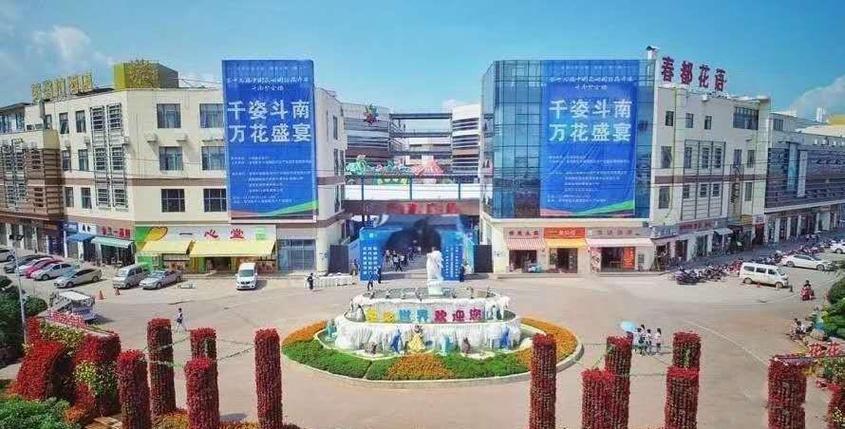 花都花卉批发市场地址