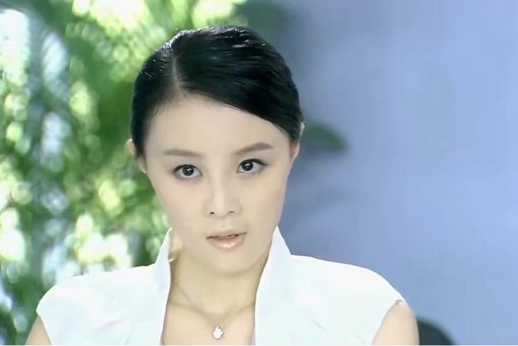 杜拉拉升职记麦琪扮演者