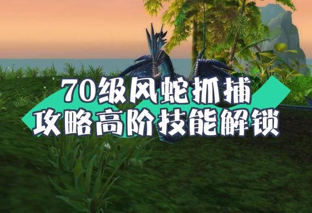 tbc风蛇抓哪个最好
