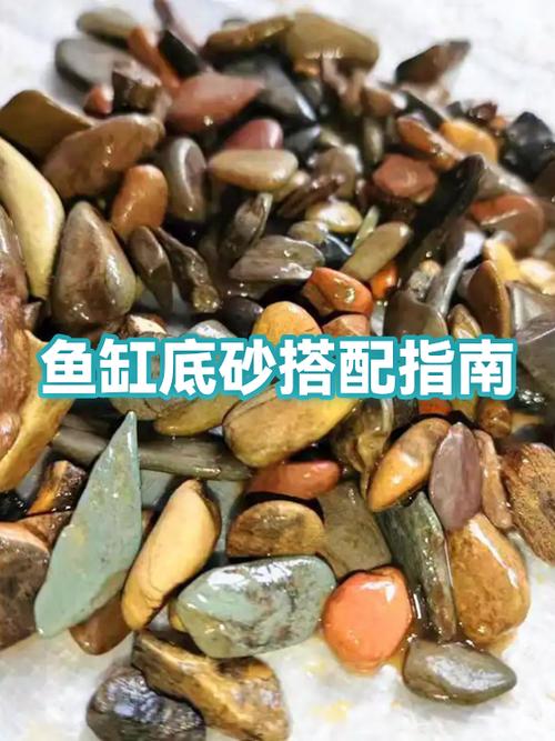 鱼缸铺底砂的选择方法