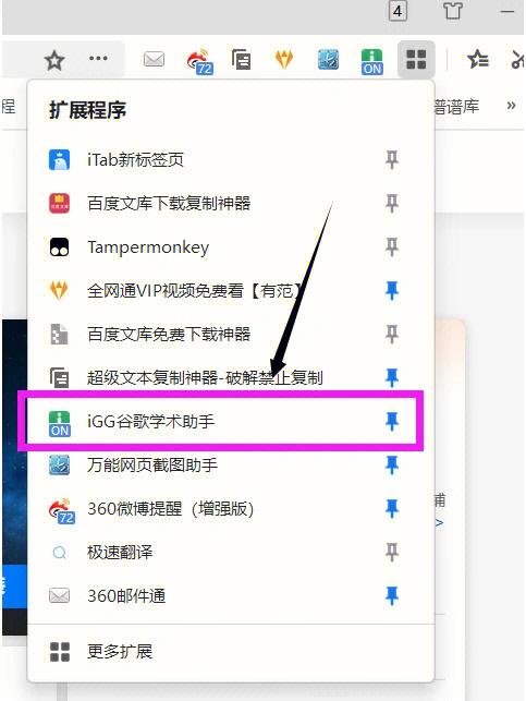 igg软件使用方法