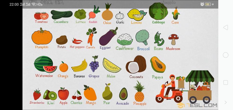 fruit和fruits的区别