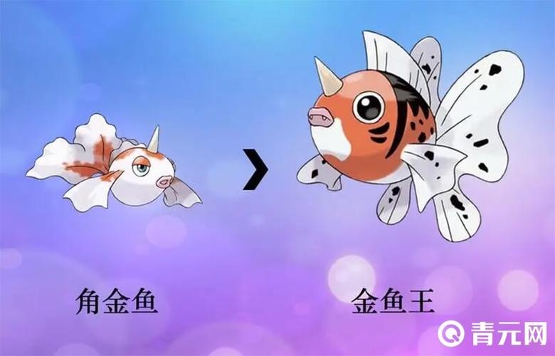 宝可梦金鱼王