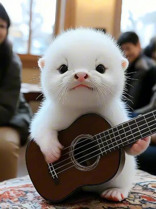 萌萌的生活
