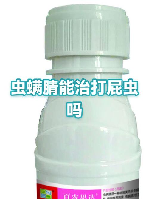 打屁虫的克星截图2