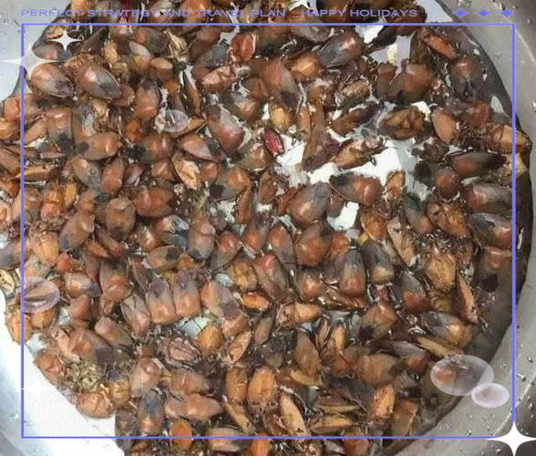 打屁虫的克星截图3