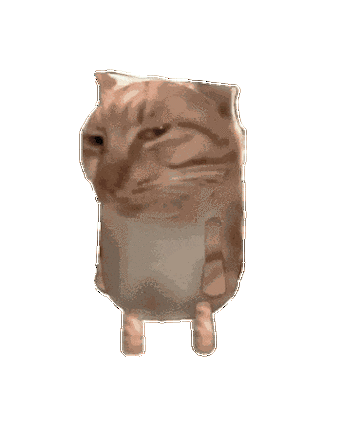 猫meme表情包动图
