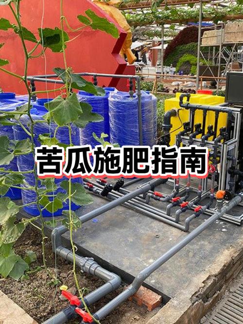 苦瓜没炒熟有毒吗