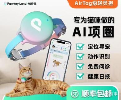 定位猫如何更改位置