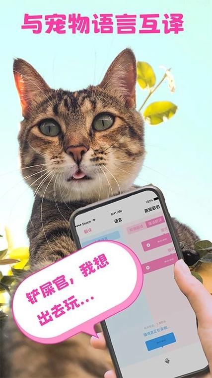猫猫语音翻译神器