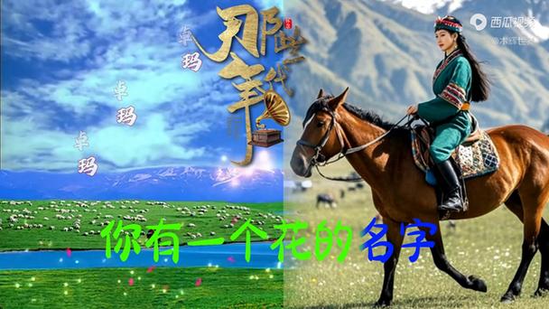 美丽的姑娘卓玛拉歌曲