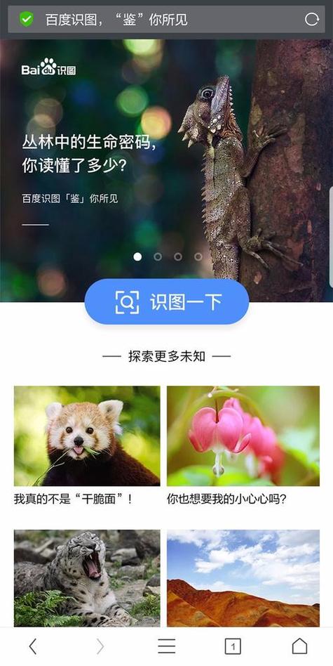 识图搜图软件
