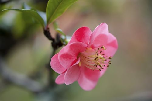 这个花花的世界是什么歌