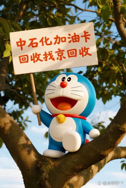 中国石化加油卡密码忘记了怎么找回