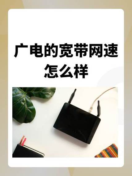 10m宽带属于什么档次