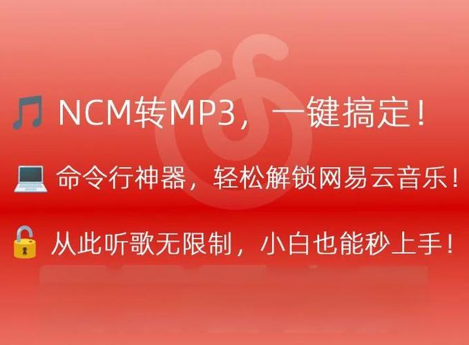怎样把网易云音乐转成mp3截图2