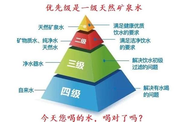 早上先吃鱼肝油还是益生菌好