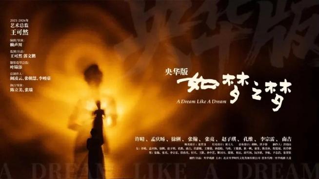 《如梦》免费观看截图3