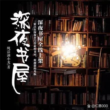 深夜书屋电子书TXT百度网盘