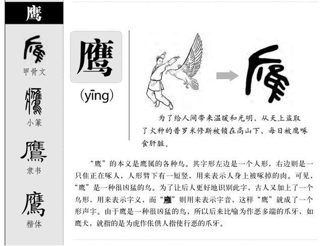 带鹰的霸气昵称