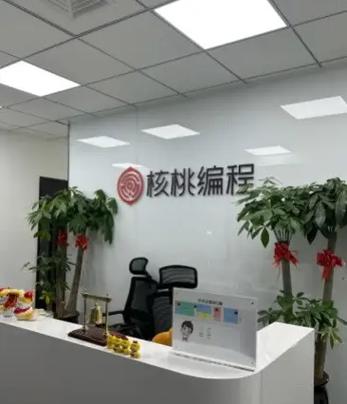 核桃编程有必要学吗
