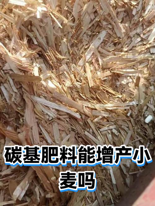 光合碳肥的作用截图3