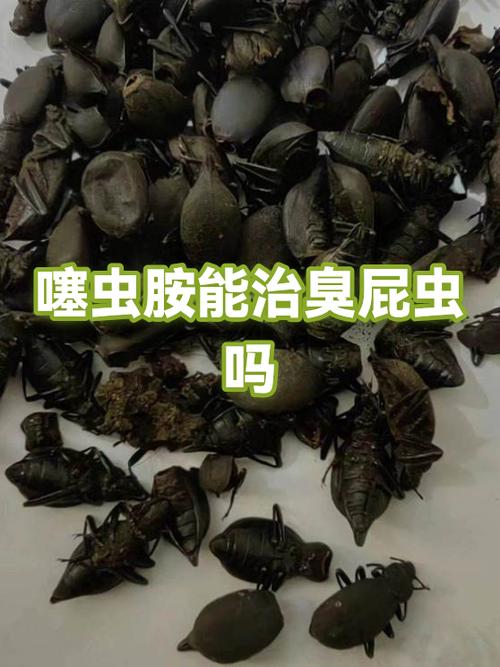 打屁虫怎么防治 打屁虫怎么防治
