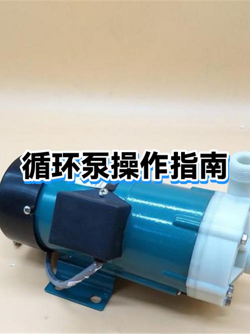 倒循环泵的正确步骤