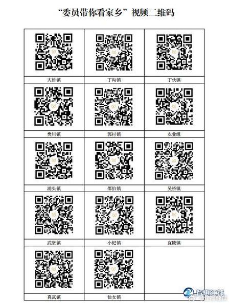 视频中的二维码怎么扫截图2