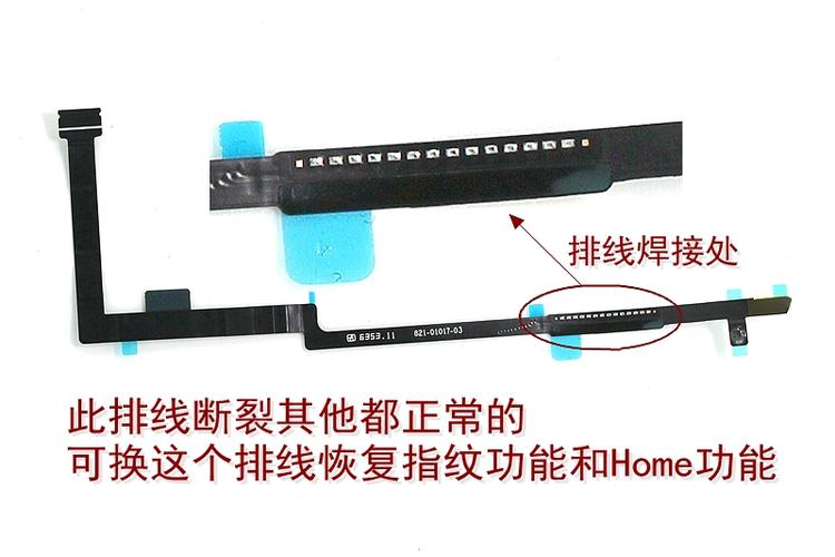 ipad指纹排线断了修多少钱