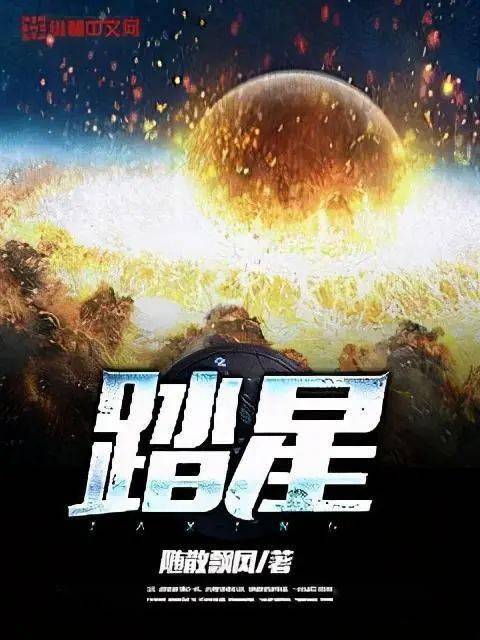 踏星主角有几个妻子截图3