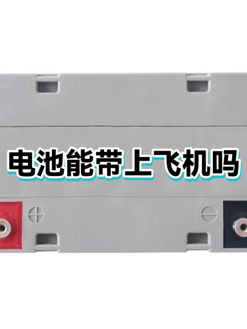 飞机上带相机电池吗