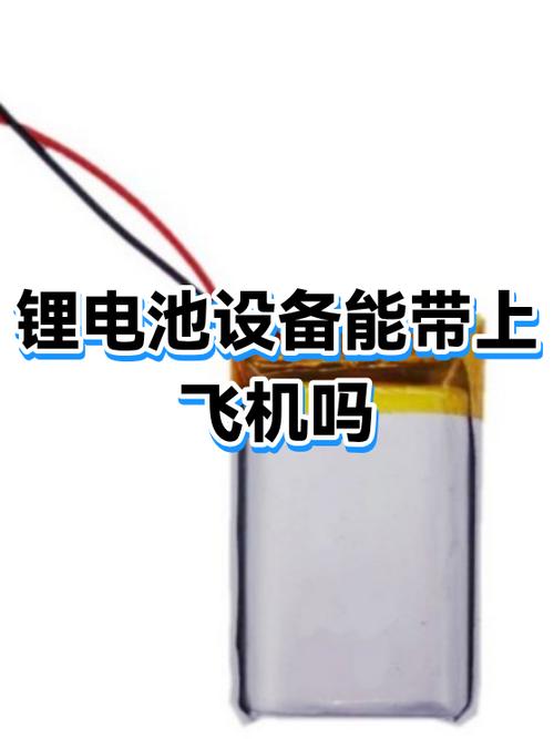 飞机上带相机电池吗截图3