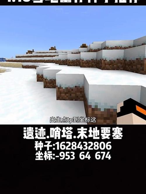 我的世界雪地种子手机版